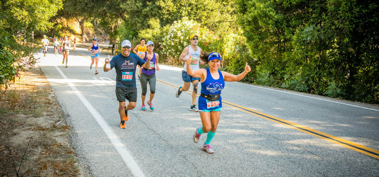 M2B 2017 Highlights